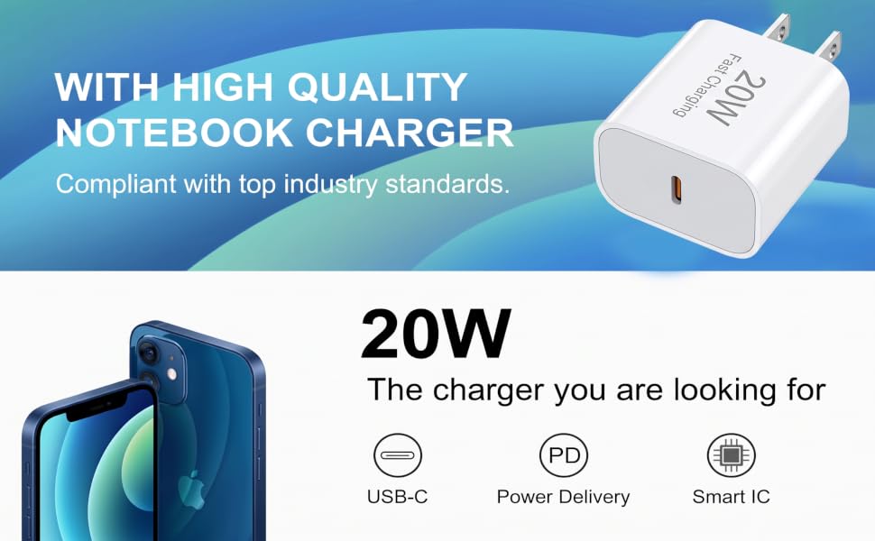 20W