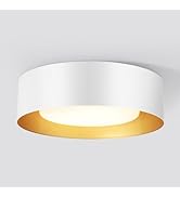 Vikaey Modern Mid Century Flush Mount Ceiling Light, 2-Light Minimalist Round Close to Ceiling Li...