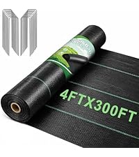 https://m.media-amazon.com/images/I/51Lxi6NNxVL.__AC_SR200,225___.jpg