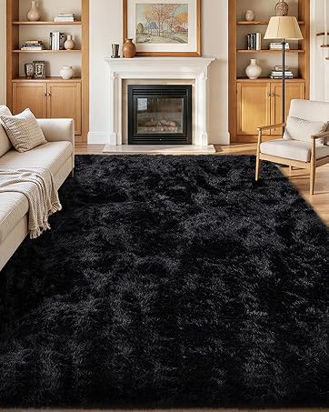 8x10 rug
