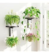 iDavosic.ly Wall Plant Holder Set of 2 for Indoor Outdoor, Metal Hanger with 2 Hooks, Floating Fl...