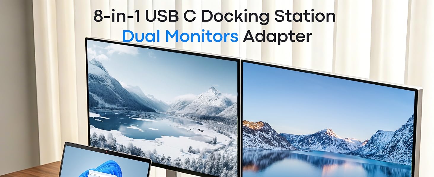 docking station dual monitor