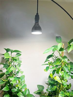 SANSI 30W Grow Bulb for Indoor Plants