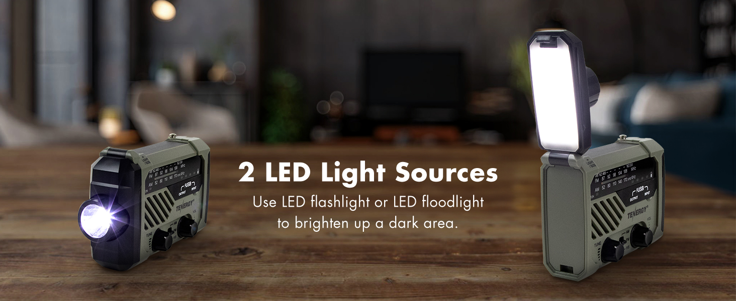 2 LED light sources
