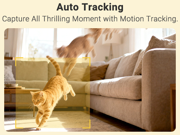 security cameras indoor camera pet camera dog camera home cameras