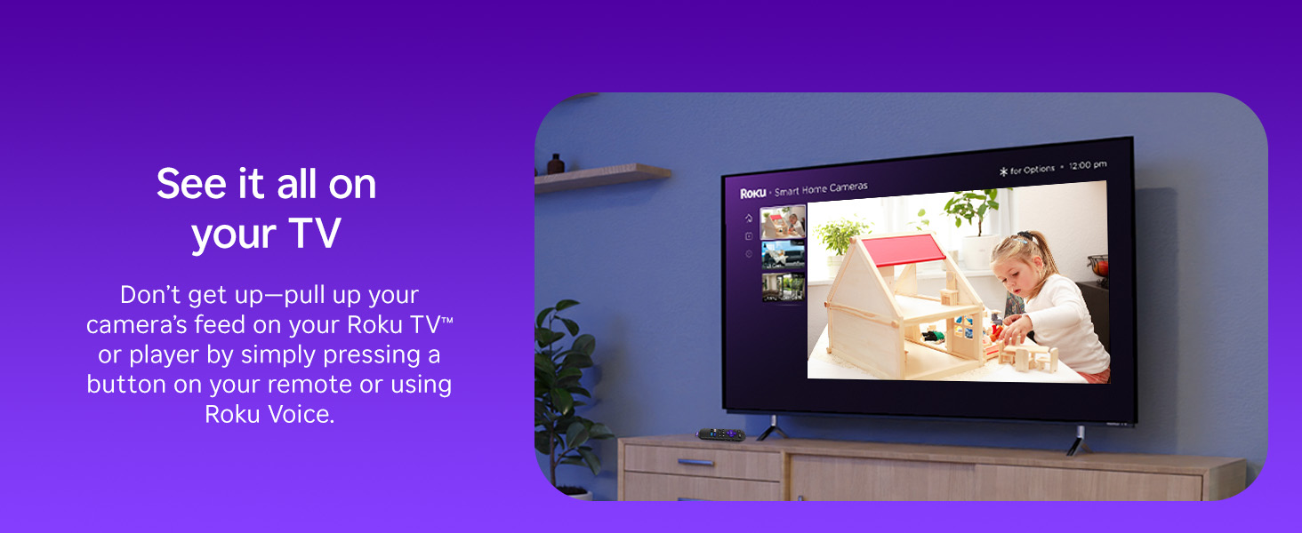 PRIORITY Roku: Indoor &amp;amp; Outdoor Cameras