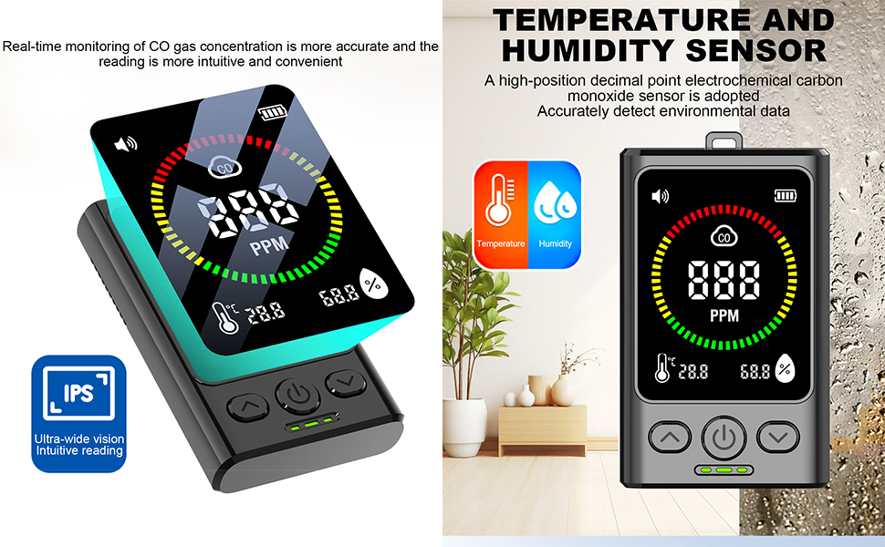 Portable Carbon Monoxide Detector
