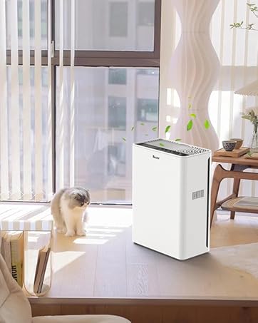 air purifier for large room