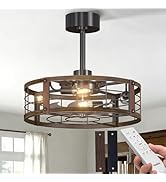 Passky 20 Inch Farmhouse Caged Ceiling Fans with Lights and Remote, Black Downrod Mount Bladeless...