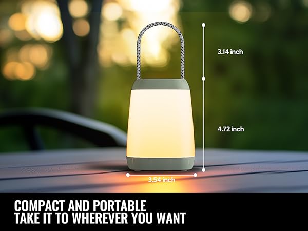 kids lantern