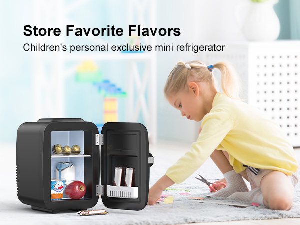 Mini Fridge