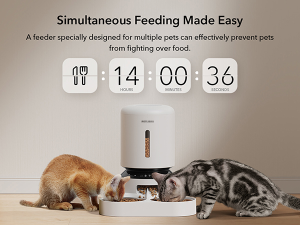 automatic cat feeder for 2 cats
