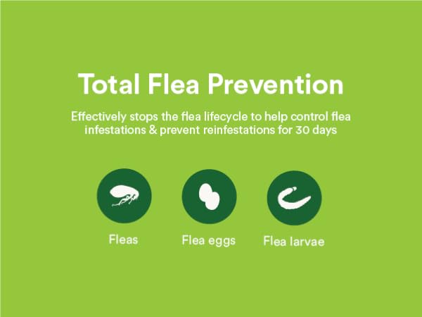 Total Flea Prevention fleas flea eggs flea larvae