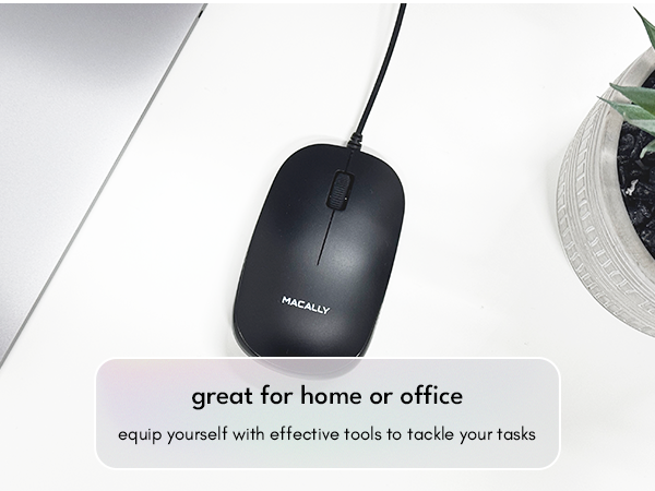 mouse