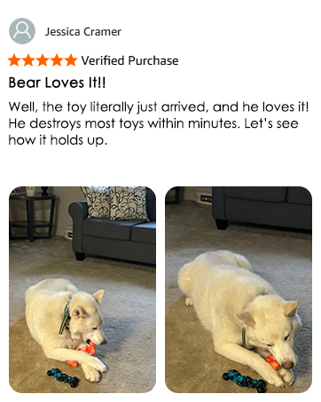 dog toys