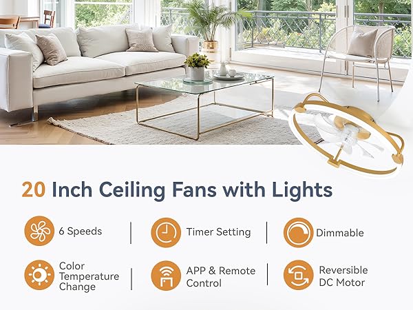 ceiling fan with light