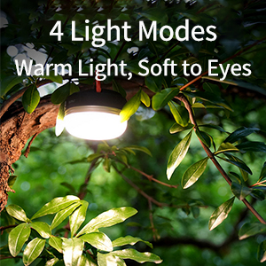 4 light modes