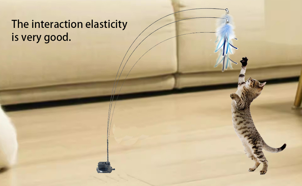 cat toys