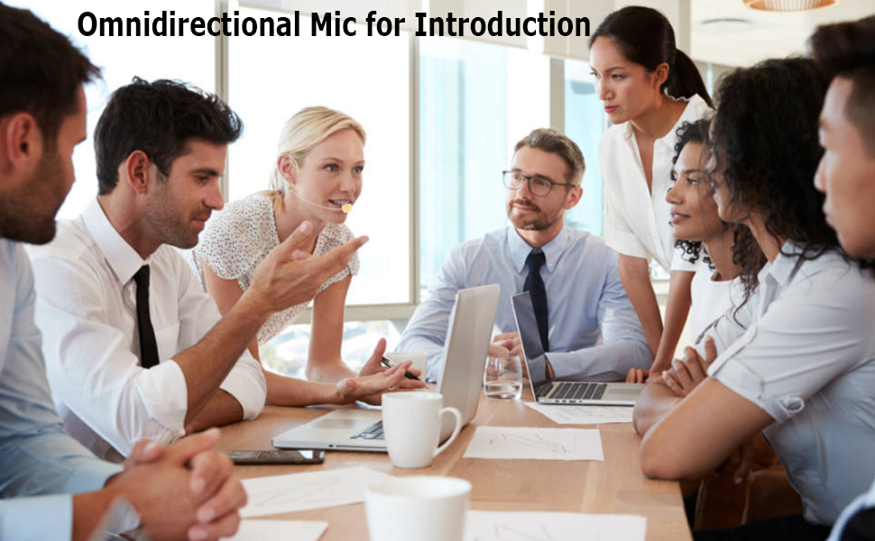 Omnidirectional Mic for Introduction