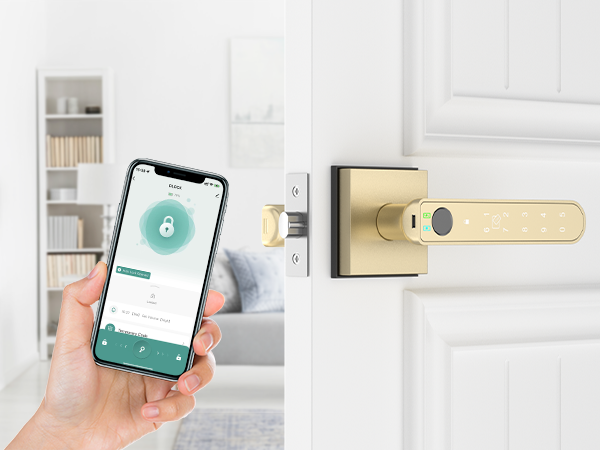 gold keyless entry door lock