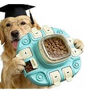 2 Levels Dog Puzzle Toy, Slow Feeder for Fast Eating Pets Interactive Dog Treat Puzzle Toys for I...