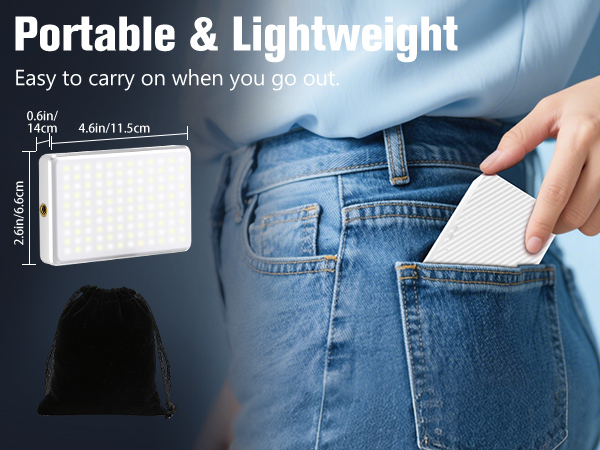 portable light