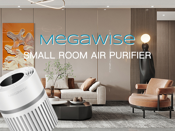 Air purifier
