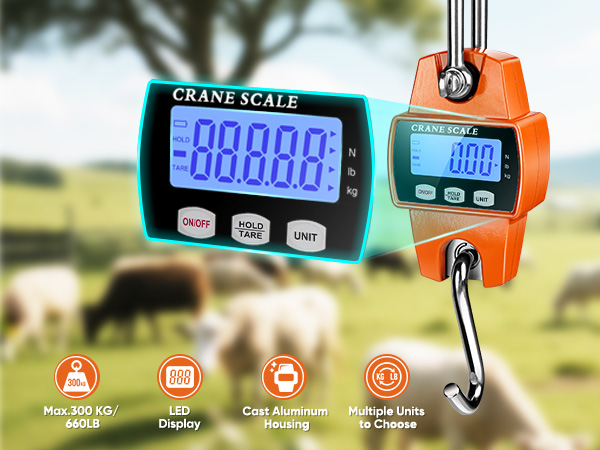 crane scale