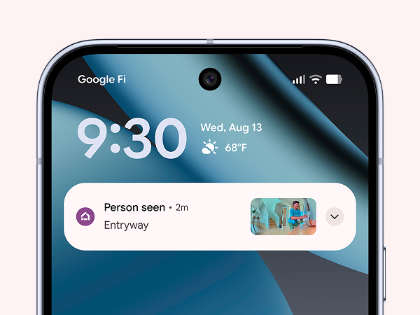 Nest Cam Outdoor sends alerts when it spots a person, vehicle, or animal.[5]