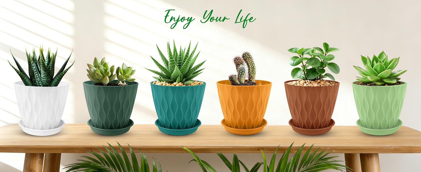 plant pots