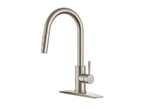 Kitchen Faucet