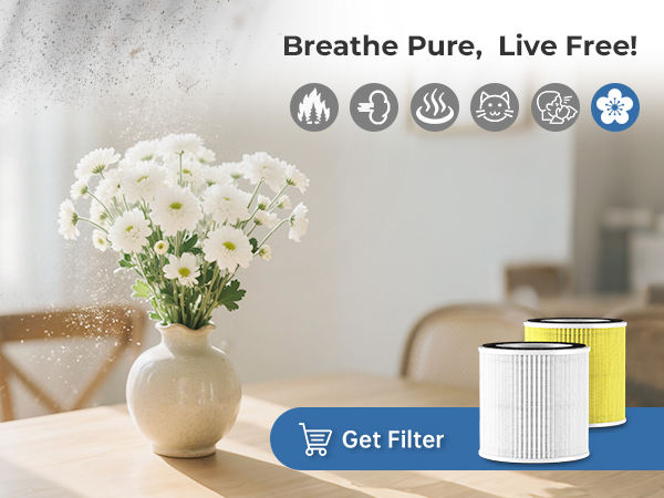 air purifiers for living room