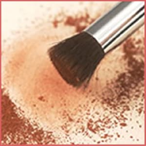 Professional Artist Petite Transitions Pastel, Chalk and Charcoal Pastellist Blender Brush