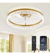 LEDIARY 20" Modern Ceiling Fans with Lights and Remote, Dimmable Low Profile Ceiling Fan, Flush M...