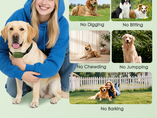 dog shock collar