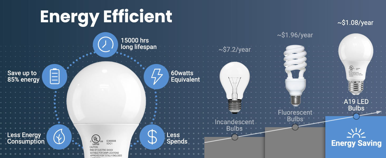 A19 led light bulb 5000K