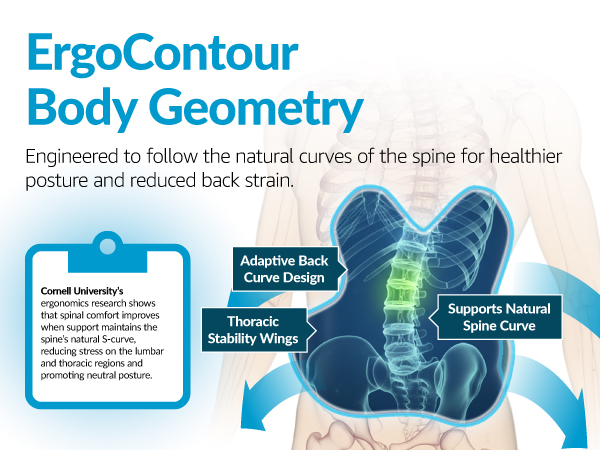 ErgoContour Body Geometry