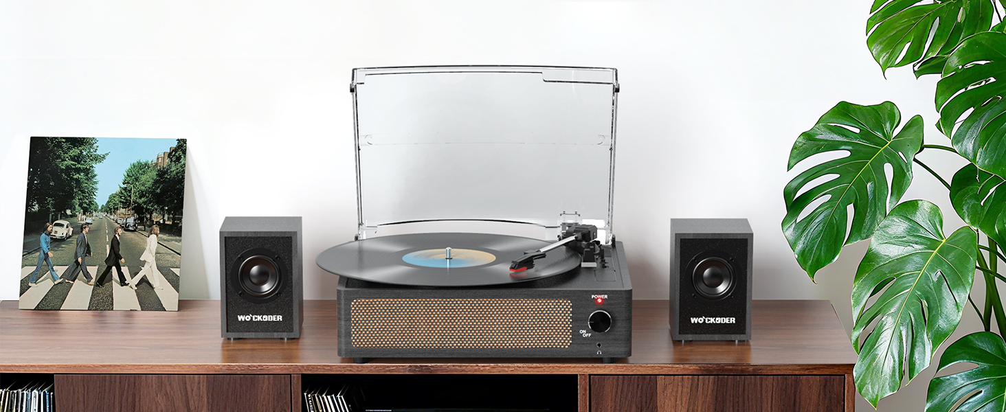 vinyl record player