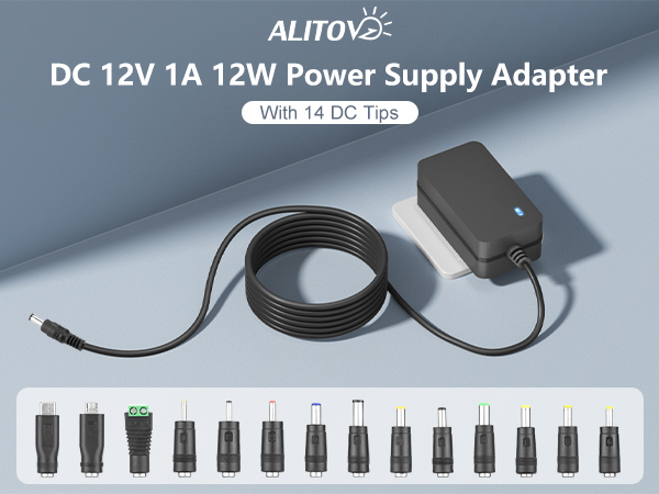 12V 2.5A
