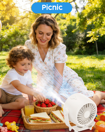 portable fan with mist
