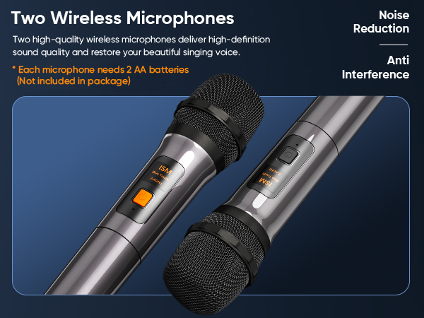 2 WIRELESS MICROPHONES