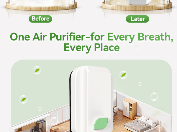Ion Air Purifier for Home