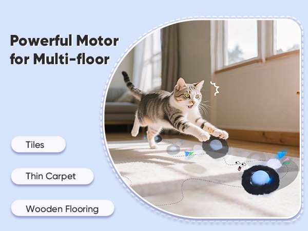 interactive cat toy