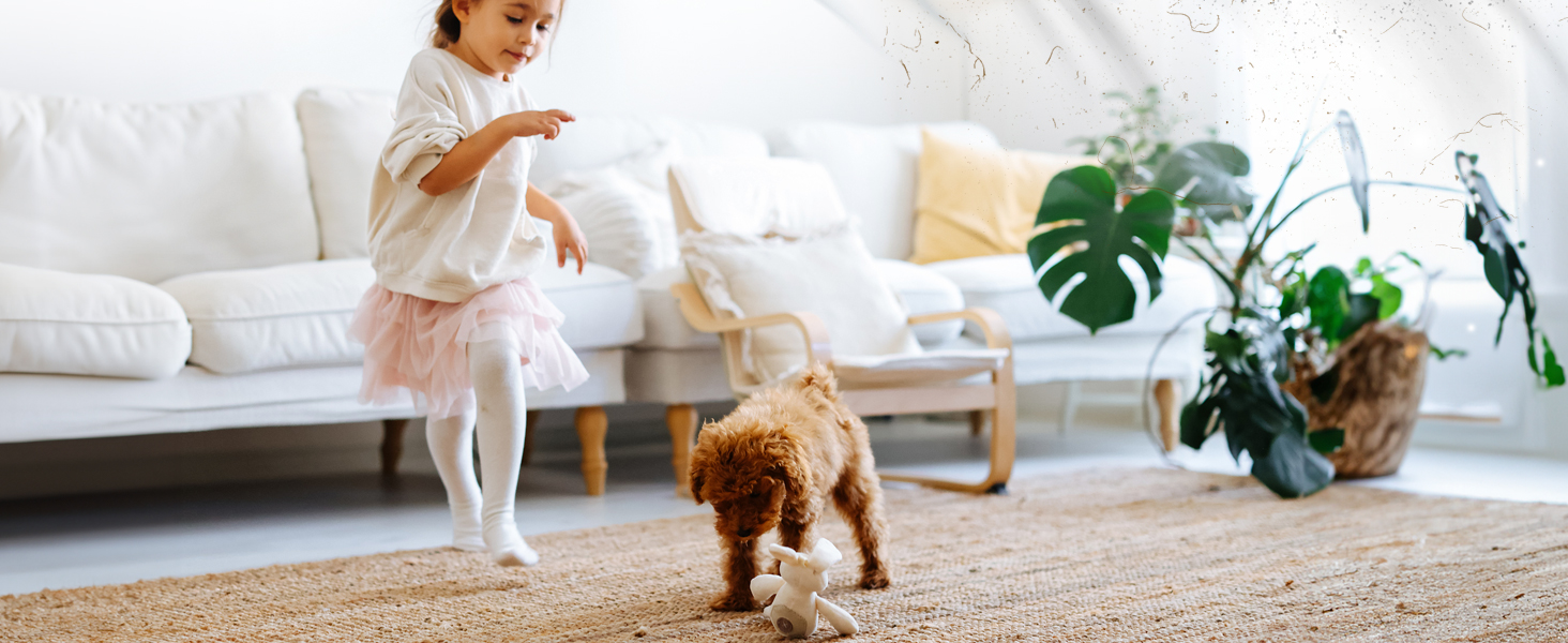 quiet pet air purifier