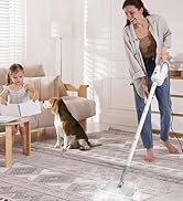 steam mop
