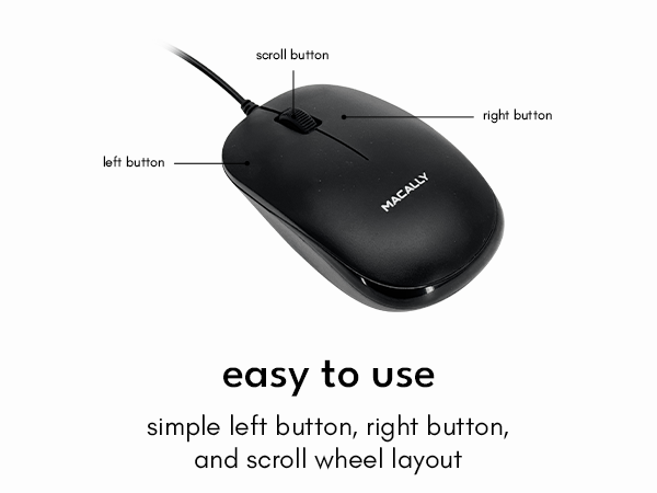 mouse