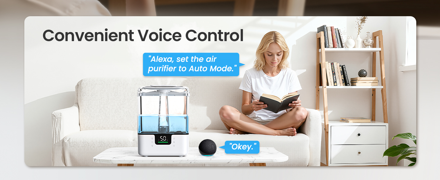 smart humidifier