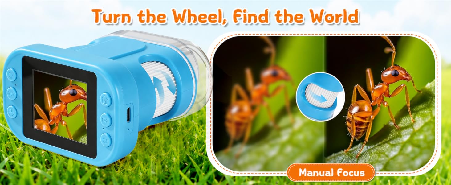 Turn the Wheel, Find the World