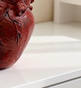 MealFlow Pro Anatomical Heart Pencil Holder, Resin Organ-Shaped Pen Cup Desk Organizer Decor, Mak...