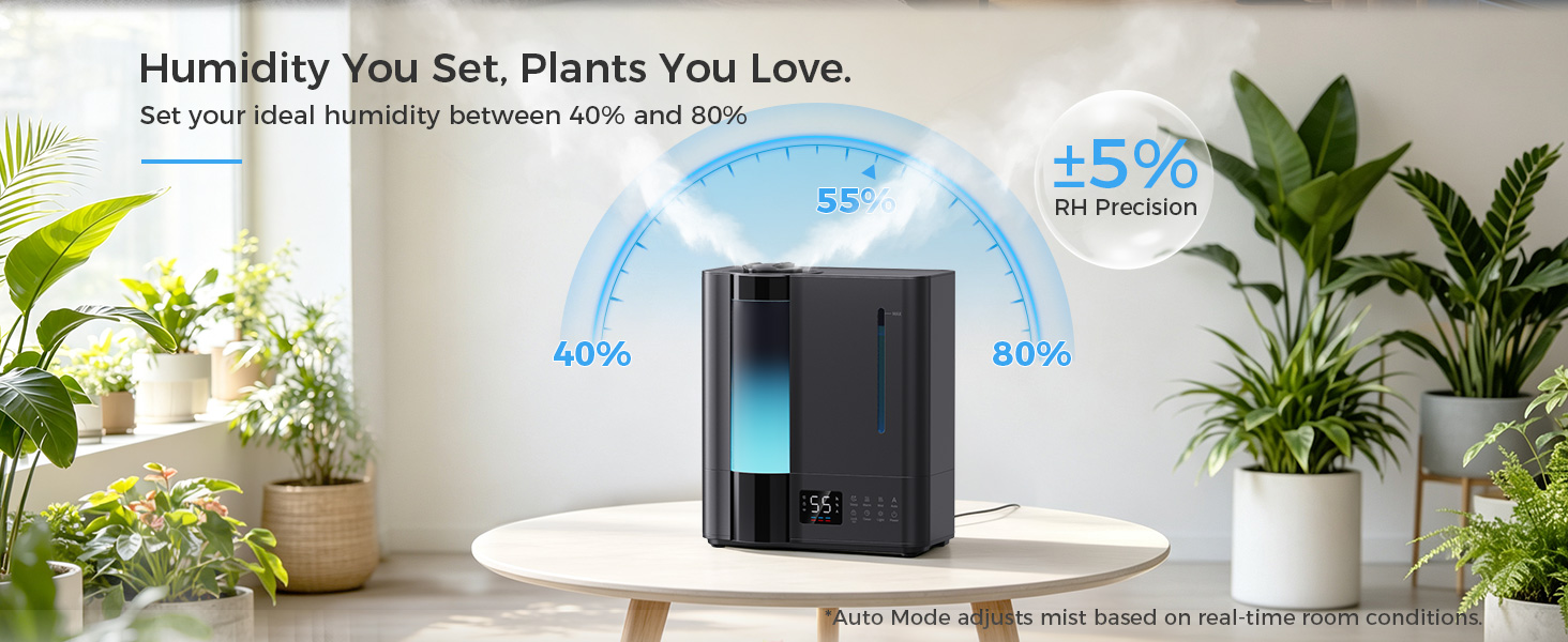 Humidifier for plant